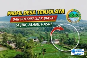 Video Profil Desa Tenjolaya Resmi Diluncurkan, Karya Kreatif Pemuda Lokal